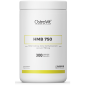 OstroVit Supreme Capsules HMB 750 мг 300 капсул