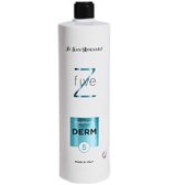 Кондиціонер Iv San Bernard Derm Conditioner Z5 для пошкодженої шкіри 1 л (0281 DERMCOND1000)