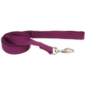Повідець Coastal New Earth Soy Dog Leash для собак фіолетовий 1.6 см 1.83 м (55185)