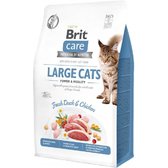 Сухий корм Brit Care Cat GF Large cats Power & Vitality для котів великих порід 7 кг (8595602540907)