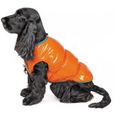 Жилет Pet Fashion SPRING помаранчевий XS (4823082420445)