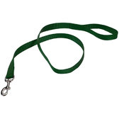 Повідець для собак Coastal Nylon Training нейлон 2.5 см x1.8 м зелений (39204)