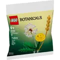 Конструктор LEGO Botanicals Польові квіти (30701)