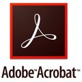 Adobe Acrobat Pro 2020 Multiple Platforms International English AO (65324379AD01A00)