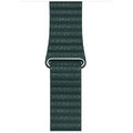 Аксессуар для Watch Apple Leather Loop Band Forest Green Medium (MTH72) for Apple Watch 42/44/45/49mm