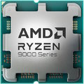 AMD Ryzen 9 9900X (100-100000662WOF)