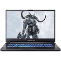 Ноутбук Dream Machines RG3050Ti-17 (RG3050TI-17UA46) UA