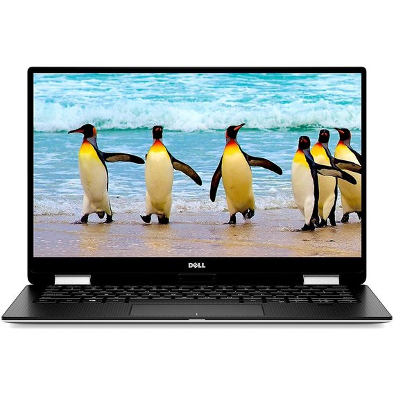 Ноутбук Dell XPS 13 9365 (X358S1NIW-64)
