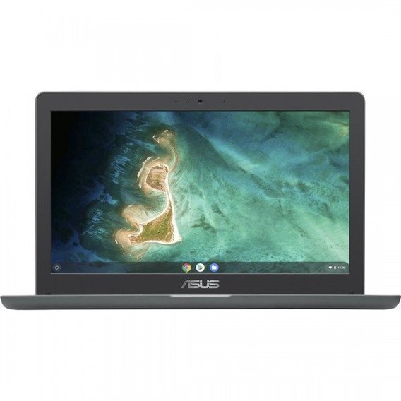 Ноутбук ASUS Chromebook C403N (C403NA-FQ0062)
