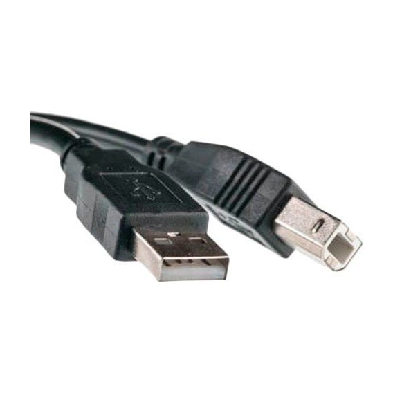 Кабель и переходник PowerPlant USB 2.0 AM – BM, 3м, One ferrite (KD00AS1221)