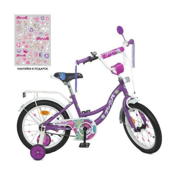 Велосипед Profi Blossom фиолетовый (Y16303N)