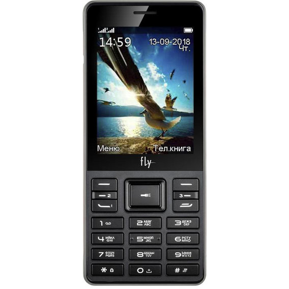 Мобильный телефон Fly TS114 Black (UA UCRF)