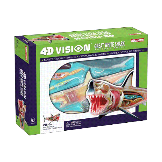Объемная анатомическая модель 4D Master "Большая белая акула" (26111)