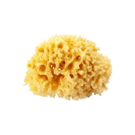 Натуральная морская губка Ok Baby Silk Fine sea sponge 14 см (38481400)