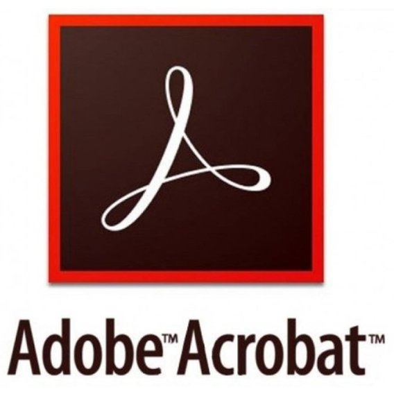Adobe Acrobat Pro 2020 Multiple Platforms International English AO (65324379AD01A00)