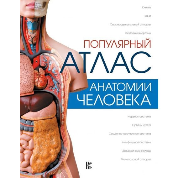Популярний атлас анатомії людини