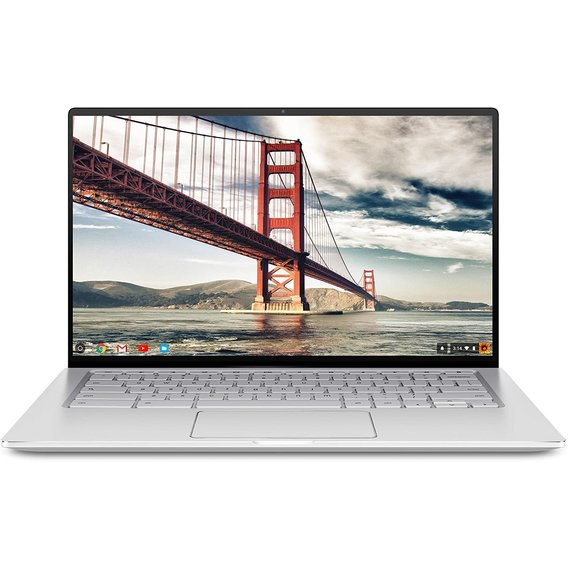 Ноутбук ASUS Chromebook Flip C434 (C434TA-DS384T)