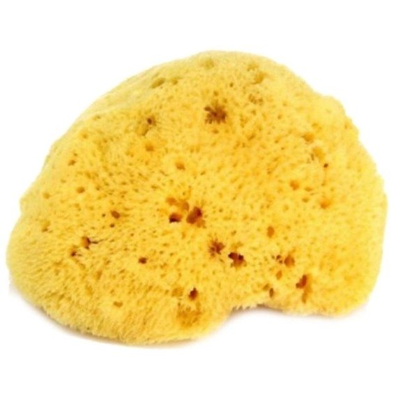 Натуральная губка OK Baby Honeycomb sea sponge р.14 желтый (38471400)