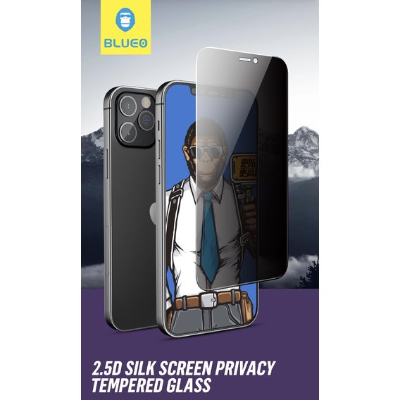 Аксессуар для iPhone Blueo Tempered Glass Silk Narrow Border 2.5D Privacy Black for iPhone 12 Pro Max (NPB14-6.7)