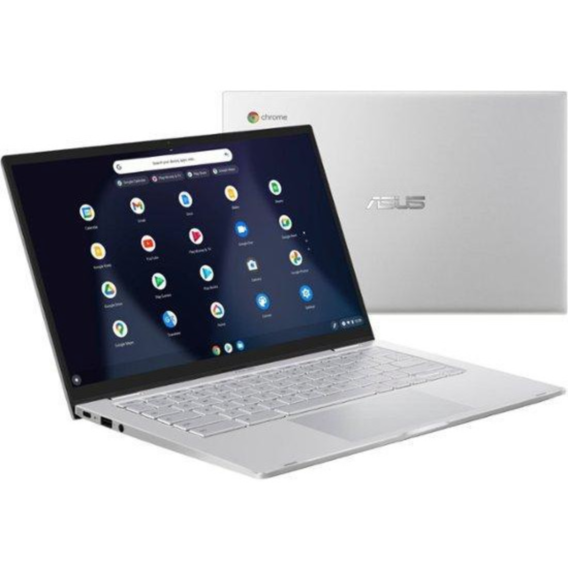 Ноутбук Asus Chromebook (C425TA-M364)