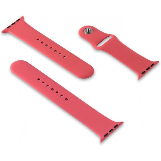 Аксессуар для Watch Fashion Sports Band Set (3 in 1) Pink for Apple Watch 38/40mm