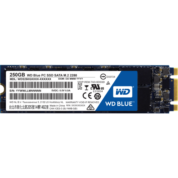 Western Digital SSD M.2 2280 250GB (WDS250G1B0B)