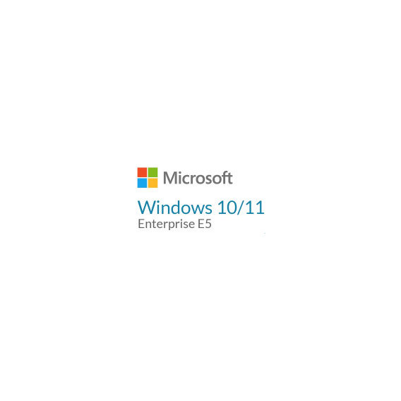 Microsoft Windows 10/11 Enterprise E5 P1Y Annual License (CFQ7TTC0LFNW_0002_P1Y_A)