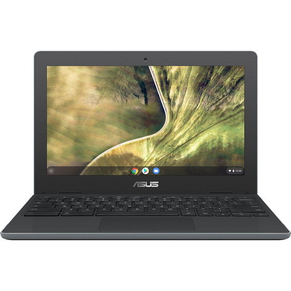Ноутбук ASUS Chromebook C204MA (C204MA-BU0327) RB