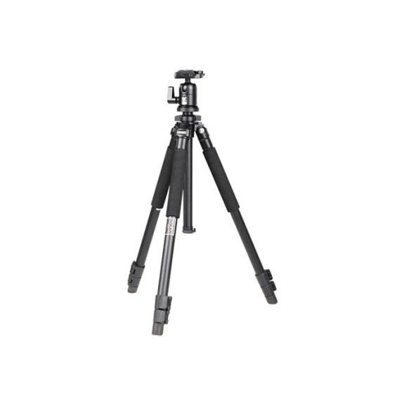 Benro A-500EX+BH-1M (A500FBH1)