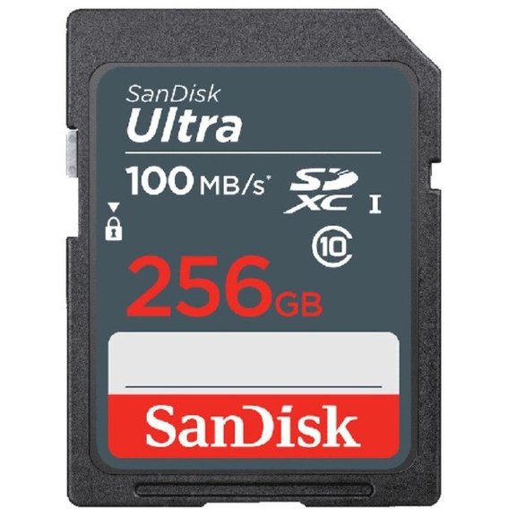 Карта памяти SanDisk 256GB SDHC Ultra Class 10 UHS-I (SDSDUNR-256G-GN3IN)