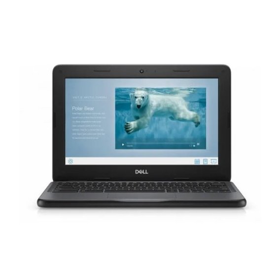 Ноутбук Dell Chromebook 3100 (H5CRW)