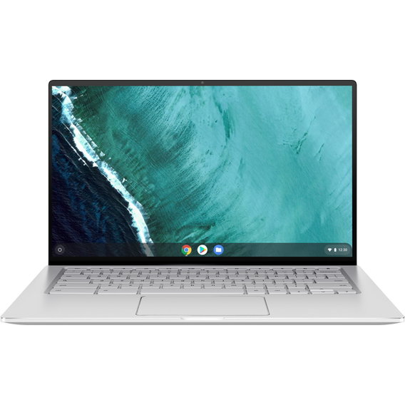 Ноутбук ASUS Chromebook Flip C434 (C434TA-DSM4T)